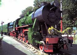  13.   -0036   .. , .     .